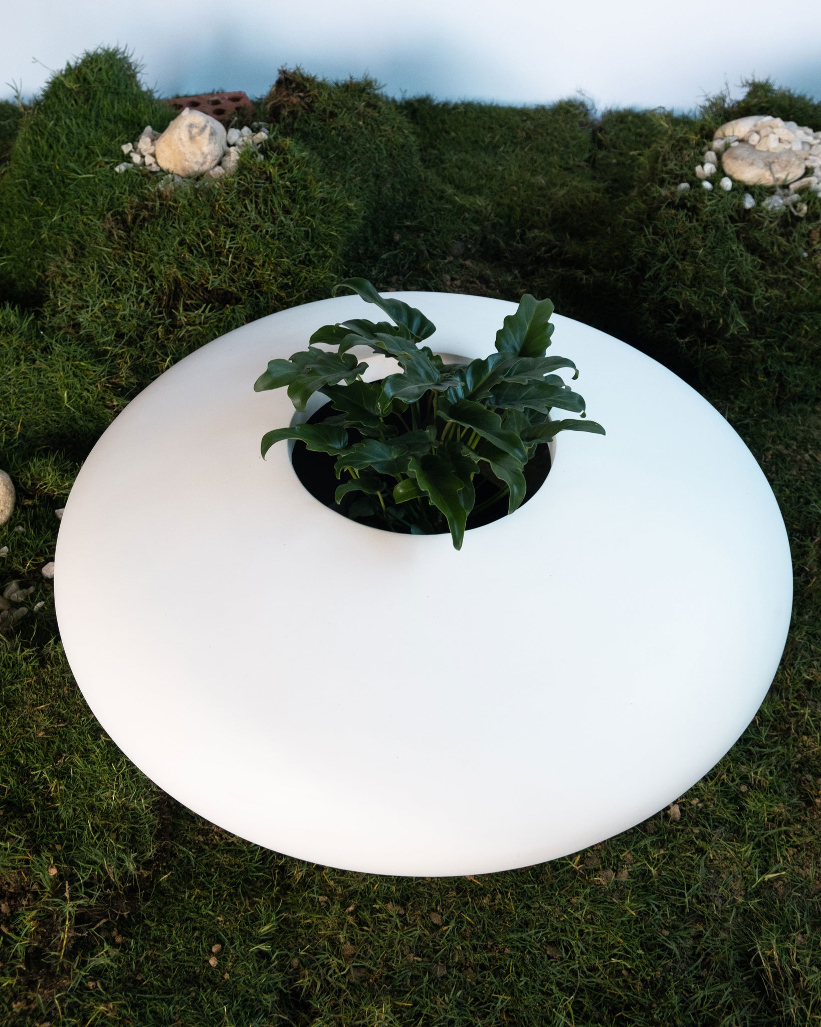 Halo Planter